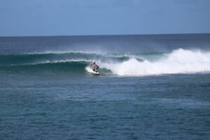 Windswept at Sarongs